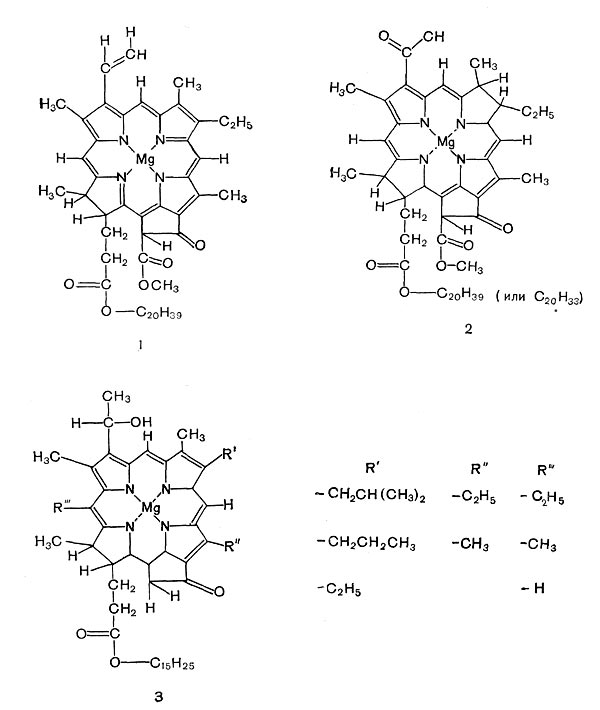 Рис. 129. Структурные формулы хлорофилла а и бактериохлорофиллов: 1 — хлорофилл  растений;   2,3 — бактериохлорофиллы.